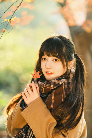 女士的法则剧情介绍